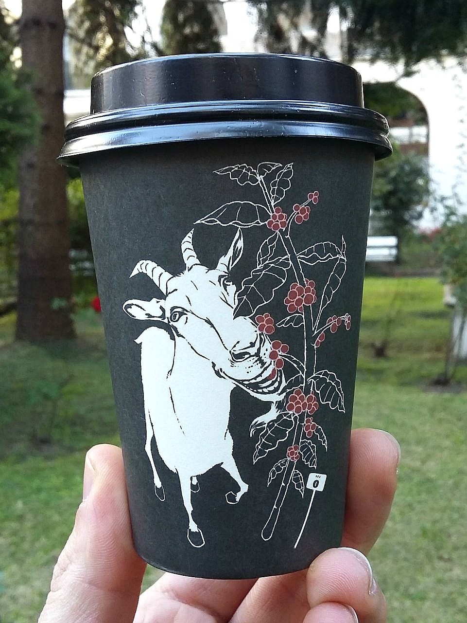 Vaso de Negro: el origen del café en las cabras de Kaldi